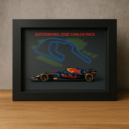 F1 Car Frame